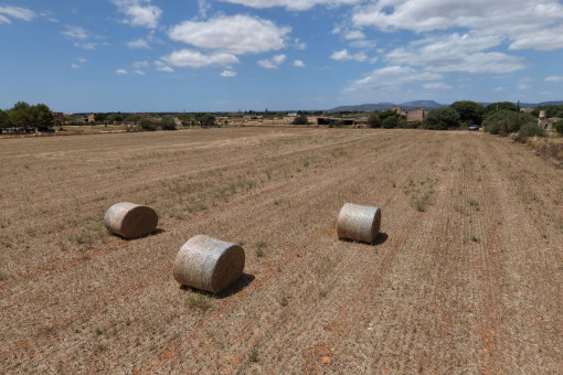 14.120 m2 de terreno