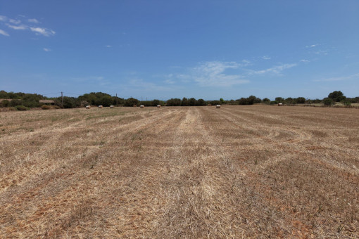 Terreno edificable cerca de Campos