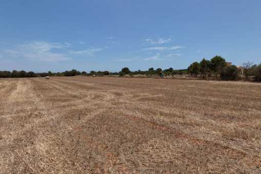 Terreno edificable cerca de Campos