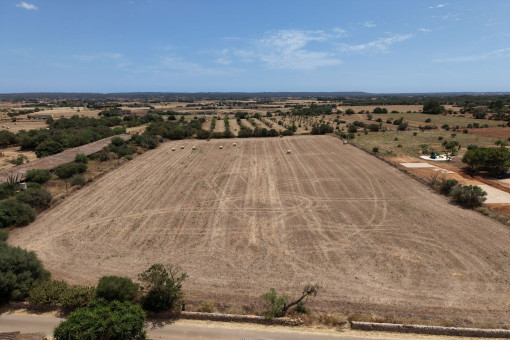 Vista aerea