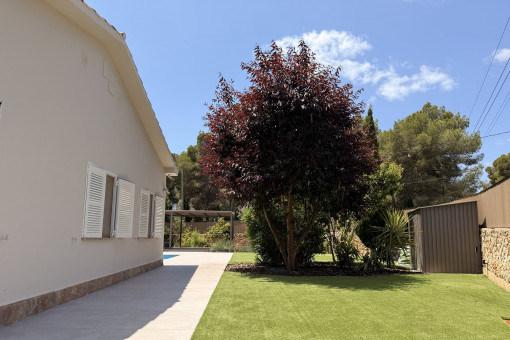 Zona exterior bien cuidada