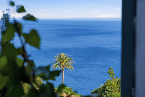 Vistas al mar