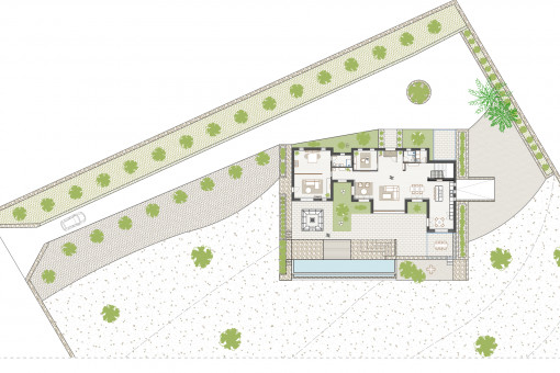 Plano