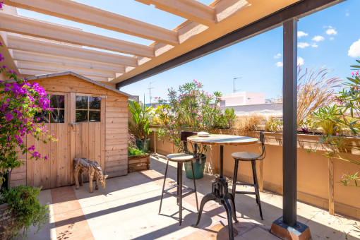 Terraza