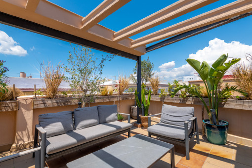 Terraza