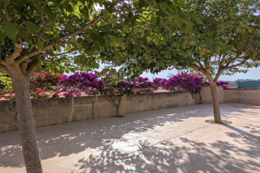 Zona de aparcamiento 