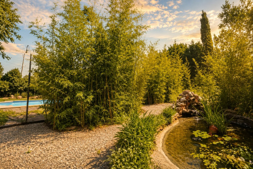 Jardín idílico con estanque y abundante vegetación