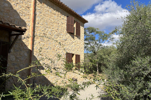 Jardín