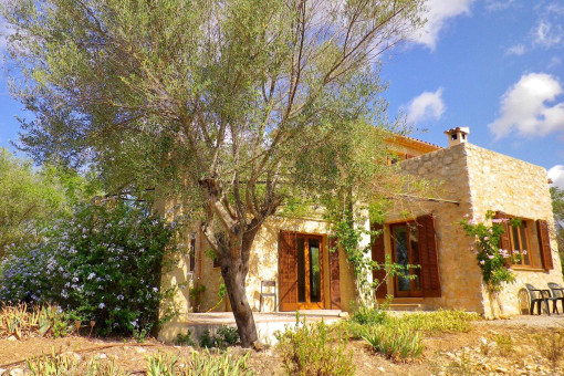 Finca en Manacor