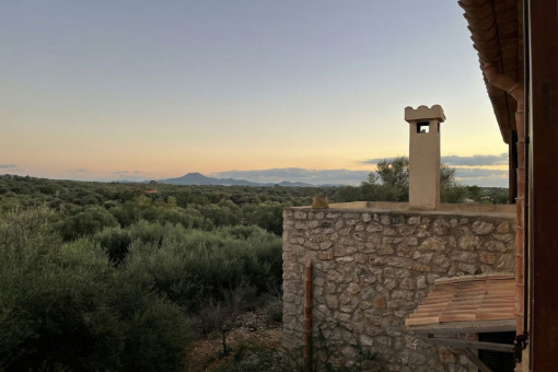 Vistas