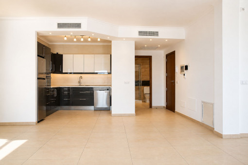 Salón-comedor diáfano con cocina contigua