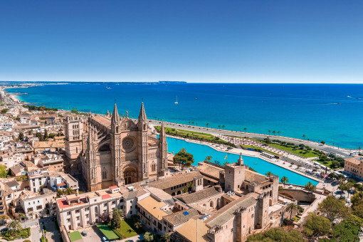 Palma 