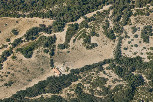 Vista aérea de la finca y la parcela