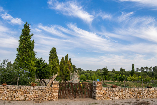 Terreno con muros de piedra seca