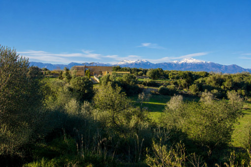 Son Marrón en el paisaje mallorquín