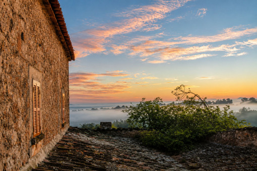 Vista panorámica con luz suave