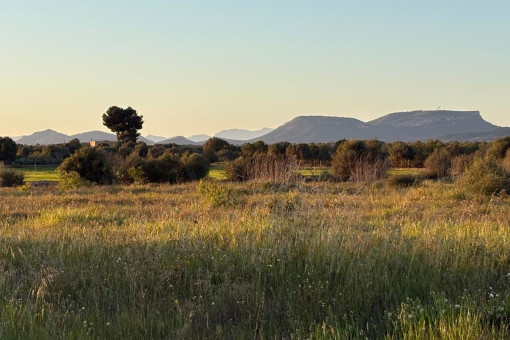 Vistas panorámicas desde la terraza hasta el Puig de Randa