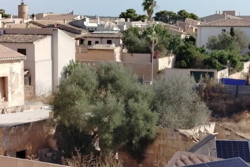 Vista panoramica