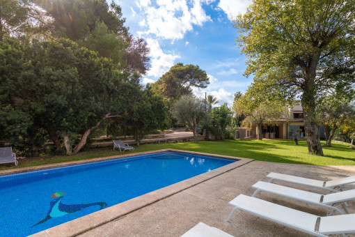 Gran piscina con mucho espacio para nadar y relajarse