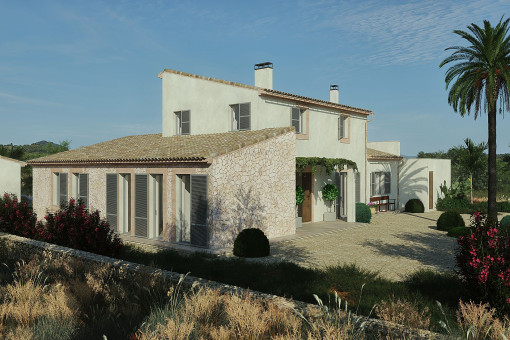Vista