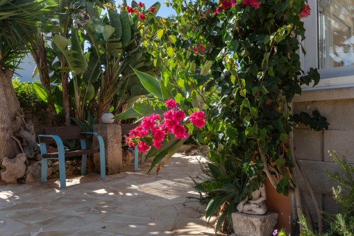 Jardín