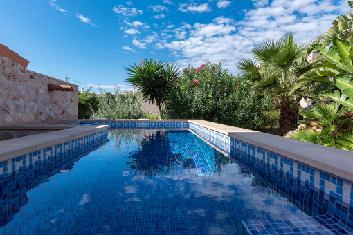 Piscina en el jardín trasero