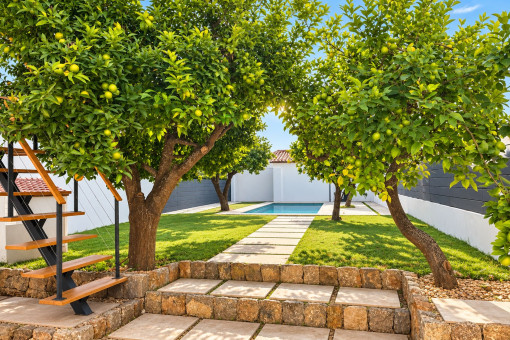 Bonito jardín con árboles que proporcionan sombra