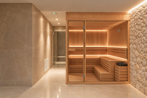Sauna and hammam