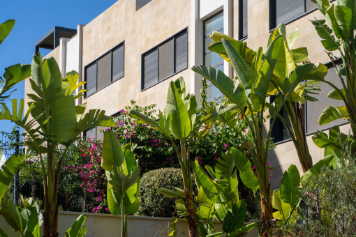 Mediterranean landscaped gardens
