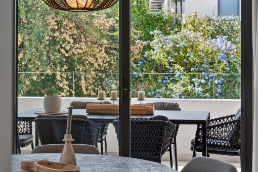 View from the dining area