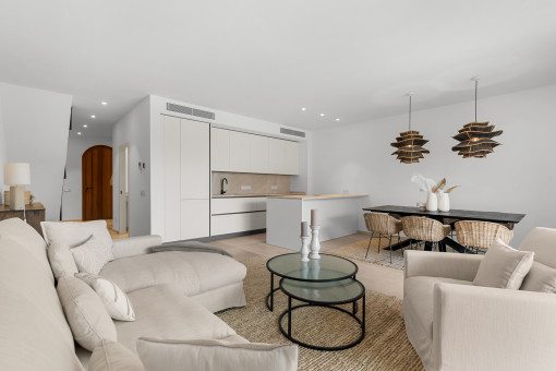 Salon y comedor