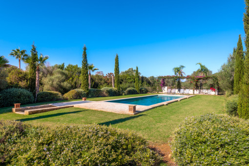 Zona jardin y piscina