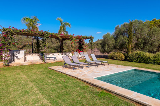 Zona piscina 