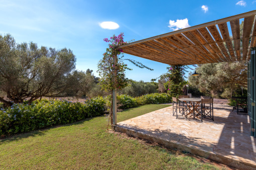 Terraza y jardin