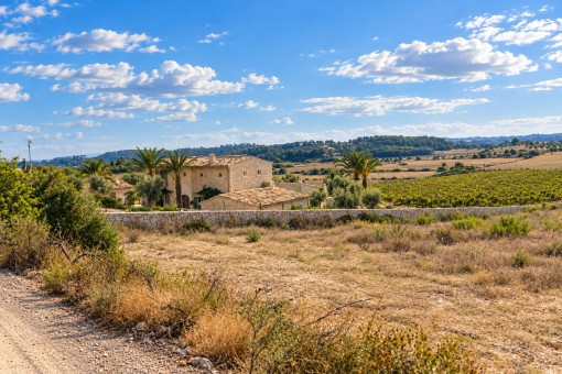 Vistas panorámicas al paisaje mallorquín