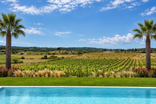 Piscina con vistas panorámicas al viñedo privado