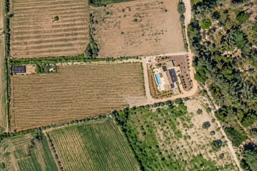 Vista aérea de la finca y su viñedo