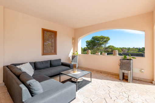 Terraza
