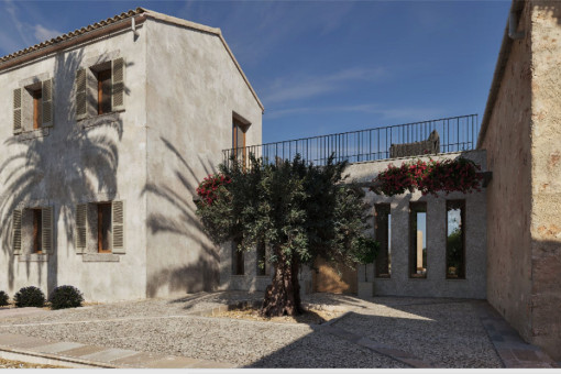 Zona exterior