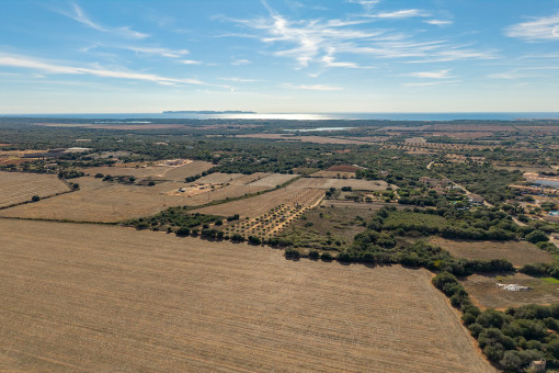 paisaje circundante