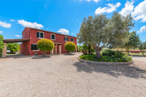 Campos-Finca