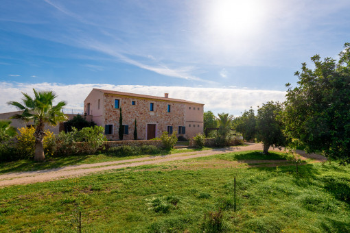 |finca-felanitx-mallorca-mieten (36).jpg